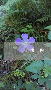信用卡全部逾期6个月以上 信用卡全部逾期6个月以上