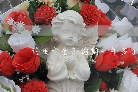 信用卡全部逾期一年多了 信用卡全部逾期一年多了