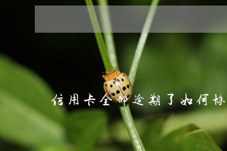 信用卡全部逾期了如何协商