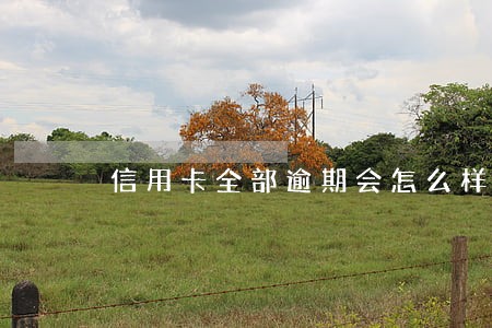 信用卡全部逾期会怎么样