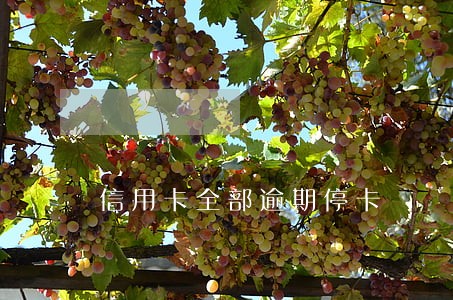信用卡全部逾期停卡 信用卡全部逾期停卡