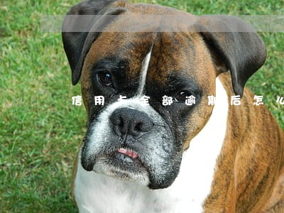 信用卡全部逾期后怎么上岸 信用卡全部逾期后怎么上岸