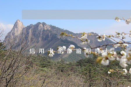 信用卡全部逾期封卡