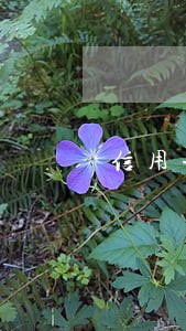 信用卡全部逾期该咋办 信用卡全部逾期该咋办