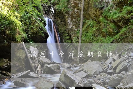 信用卡全部逾期负债30万