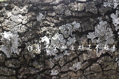信用卡全部逾期还不起怎么办 信用卡全部逾期还不起怎么办