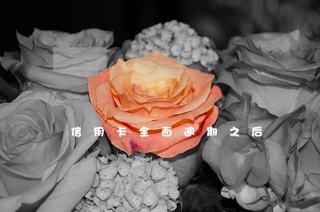 信用卡全面逾期之后 信用卡全面逾期之后