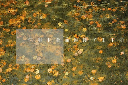 信用卡全面逾期了生不如死