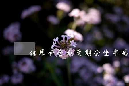 信用卡全面逾期会坐牢吗 信用卡全面逾期会坐牢吗