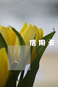 信用卡全面逾期和还一张