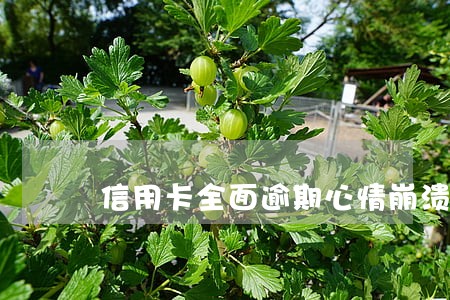 信用卡全面逾期心情崩溃故事 信用卡全面逾期心情崩溃故事