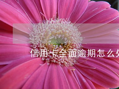 信用卡全面逾期怎么处理 信用卡全面逾期怎么处理