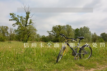 信用卡全面逾期怎么处罚 信用卡全面逾期怎么处罚