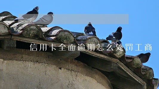 信用卡全面逾期怎么处罚工商 信用卡全面逾期怎么处罚工商