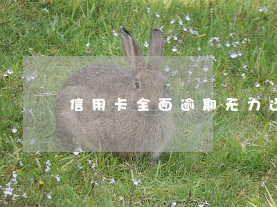 信用卡全面逾期无力还怎么办