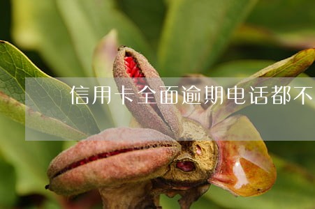 信用卡全面逾期电话都不接了 信用卡全面逾期电话都不接了