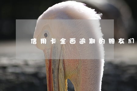 信用卡全面逾期的朋友们 信用卡全面逾期的朋友们