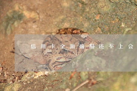 信用卡全面逾期还不上会坐牢吗 信用卡全面逾期还不上会坐牢吗