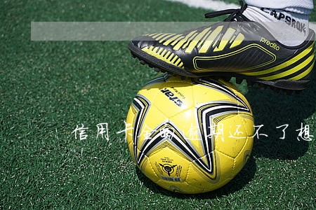 信用卡全面逾期还不了想去自首 信用卡全面逾期还不了想去自首