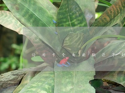 信用卡全面逾期还不起 信用卡全面逾期还不起