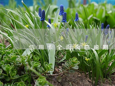 信用卡全面面临逾期 信用卡全面面临逾期