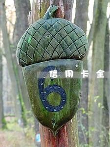 信用卡全额逾期怎么办 信用卡全额逾期怎么办