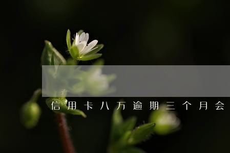 信用卡八万逾期三个月会罚多少 信用卡八万逾期三个月会罚多少