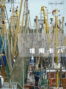 信用卡八千块逾期五天利息多少 信用卡八千块逾期五天利息多少