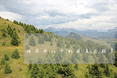 信用卡八千的额度逾期了怎么办 信用卡八千的额度逾期了怎么办