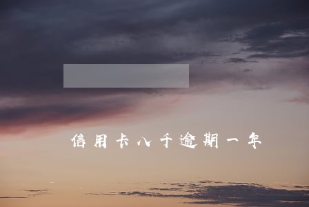 信用卡八千逾期一年 信用卡八千逾期一年