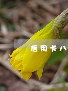 信用卡八千逾期没还会怎样 信用卡八千逾期没还会怎样