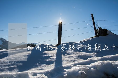 信用卡八家银行逾期五十万 信用卡八家银行逾期五十万