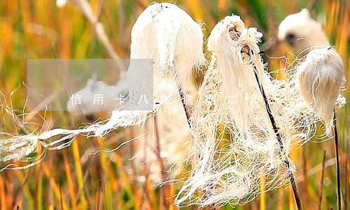 信用卡八张逾期二年 信用卡八张逾期二年