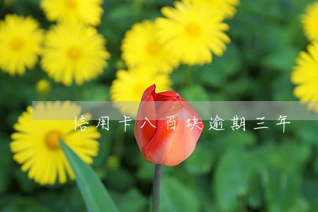 信用卡八百块逾期三年 信用卡八百块逾期三年