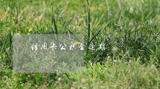 信用卡公积金逾期 信用卡公积金逾期