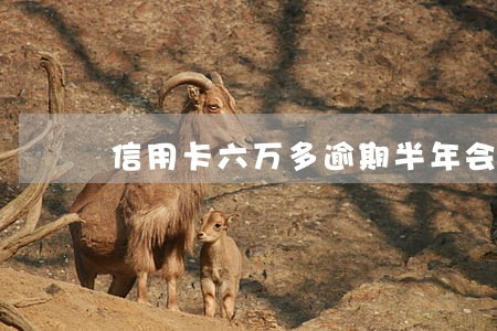信用卡六万多逾期半年会坐牢吗 信用卡六万多逾期半年会坐牢吗