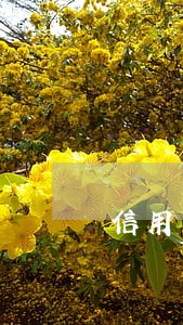 信用卡六万逾期三个月 信用卡六万逾期三个月
