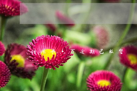信用卡六万逾期已报警 信用卡六万逾期已报警