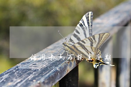 信用卡六万额度逾期