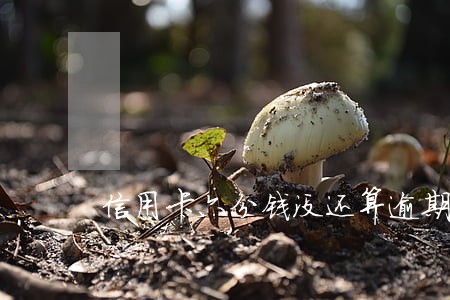 信用卡六分钱没还算逾期嘛 信用卡六分钱没还算逾期嘛