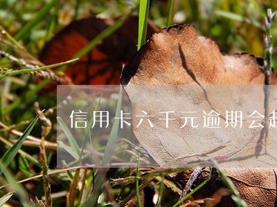 信用卡六千元逾期会起诉吗 信用卡六千元逾期会起诉吗