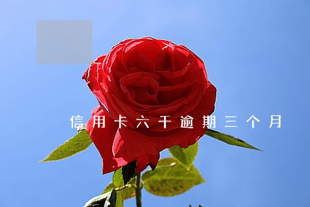信用卡六千逾期三个月