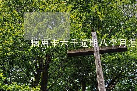 信用卡六千逾期八个月怎么办 信用卡六千逾期八个月怎么办
