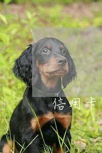 信用卡六年逾期本金8000 信用卡六年逾期本金8000