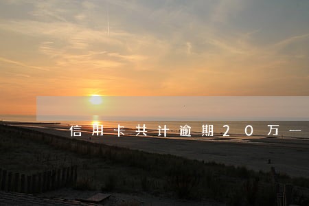 信用卡共计逾期20万一年了