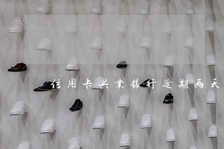 信用卡兴业银行逾期两天