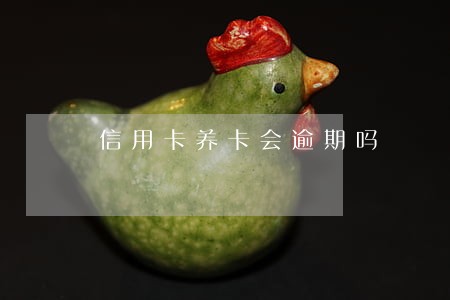信用卡养卡会逾期吗 信用卡养卡会逾期吗