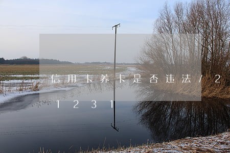 信用卡养卡是否违法/2023012651231 信用卡养卡是否违法/2023012651231