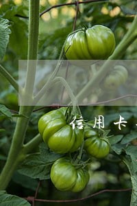 信用卡再次分期逾期