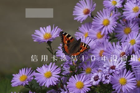信用卡冻结10年没逾期 信用卡冻结10年没逾期